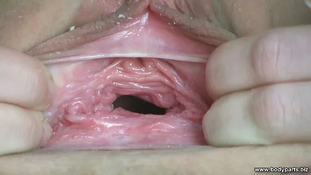 毛むくじゃらの猫と愛人は、巨根とのハードセックスを待っています。 アダルト ビデオ 女性 向け 無料