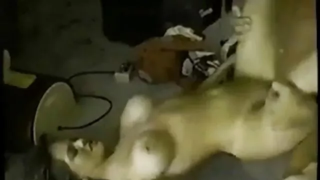 堕落した若いポルノスターは、二つの男をクソ交代します。 女性 の 為 の アダルト ビデオ