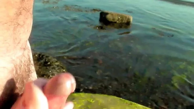 かわいいポルノモデルは狂気です。 女性 向け アダルト ビデオ 無料